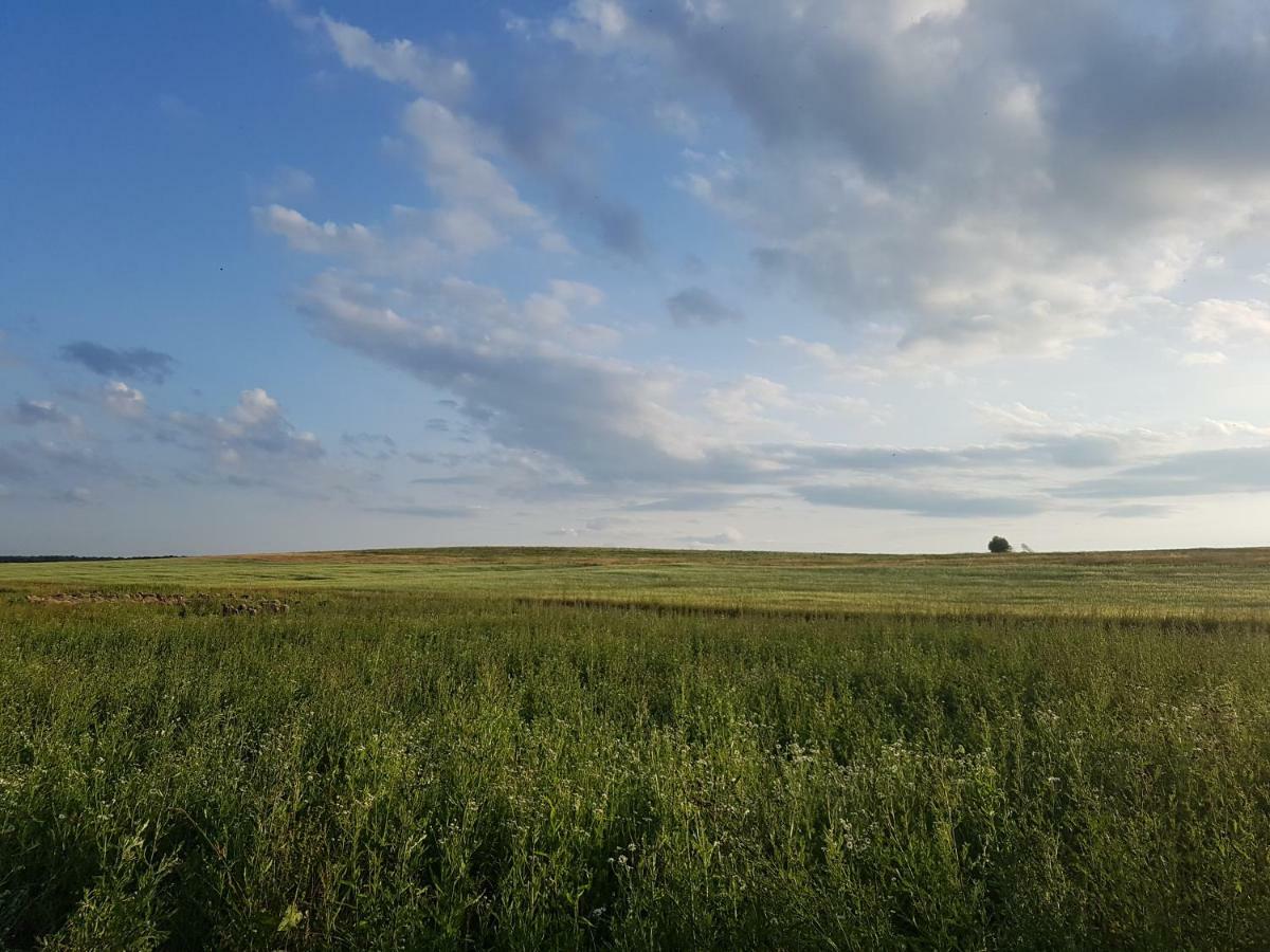 BIO Farma&Penzión Zlatý Hýľ Novacany Exterior foto